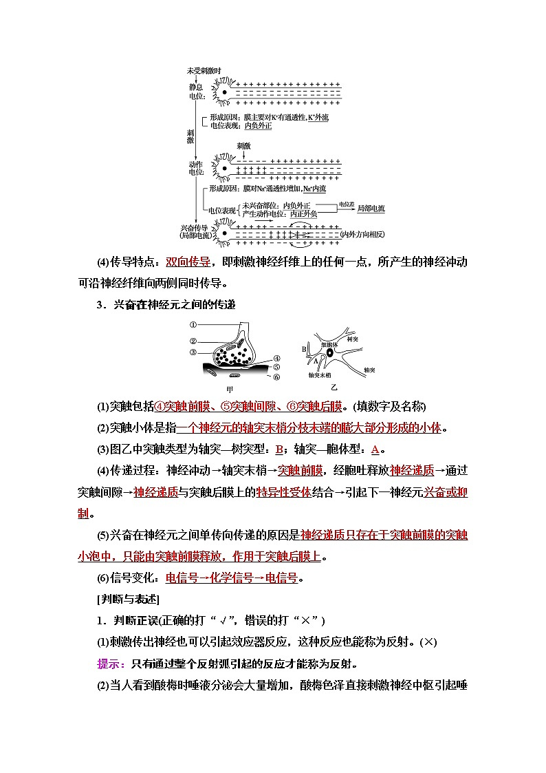 2020版新一线高考生物（苏教版）一轮复习教学案：必修3第8单元第4讲　人体神经调节与人脑的高级功能02