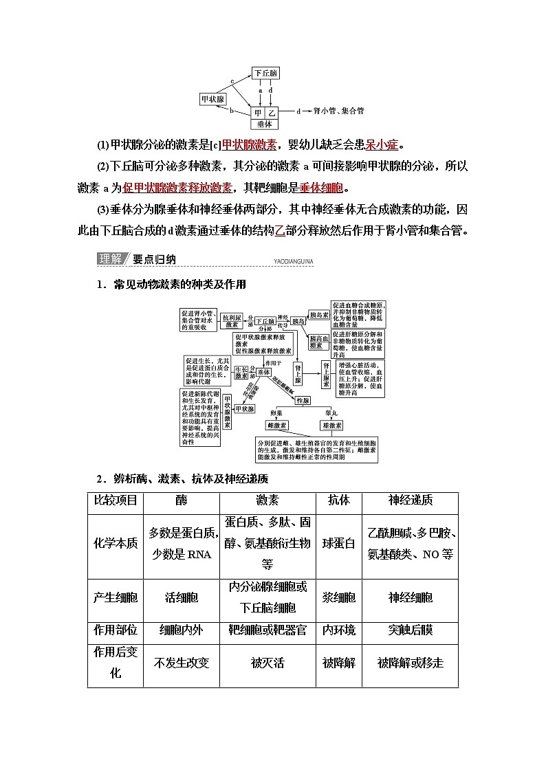 2020版新一线高考生物（苏教版）一轮复习教学案：必修3第8单元第5讲　人体和动物的激素调节03