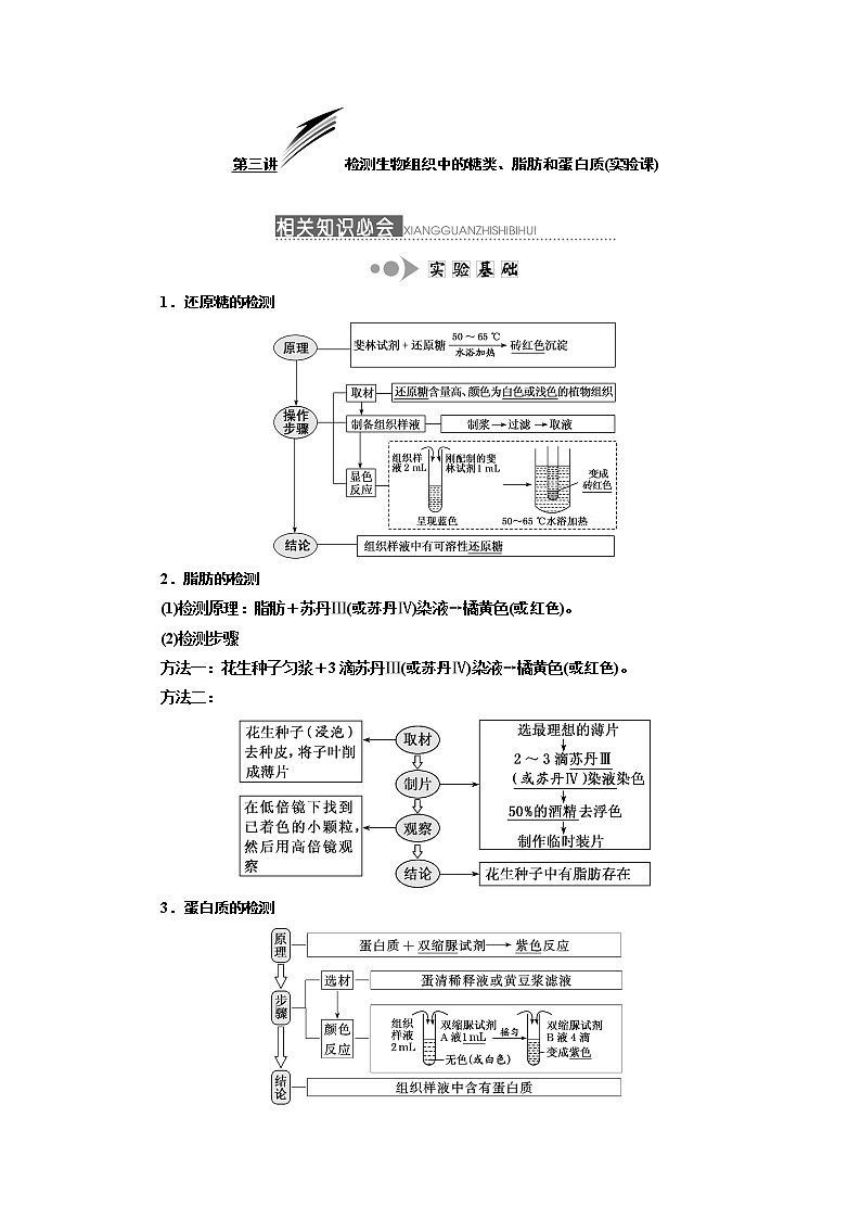 2020版一轮复习生物通用版学案：第一单元第三讲检测生物组织中的糖类、脂肪和蛋白质（实验课）01