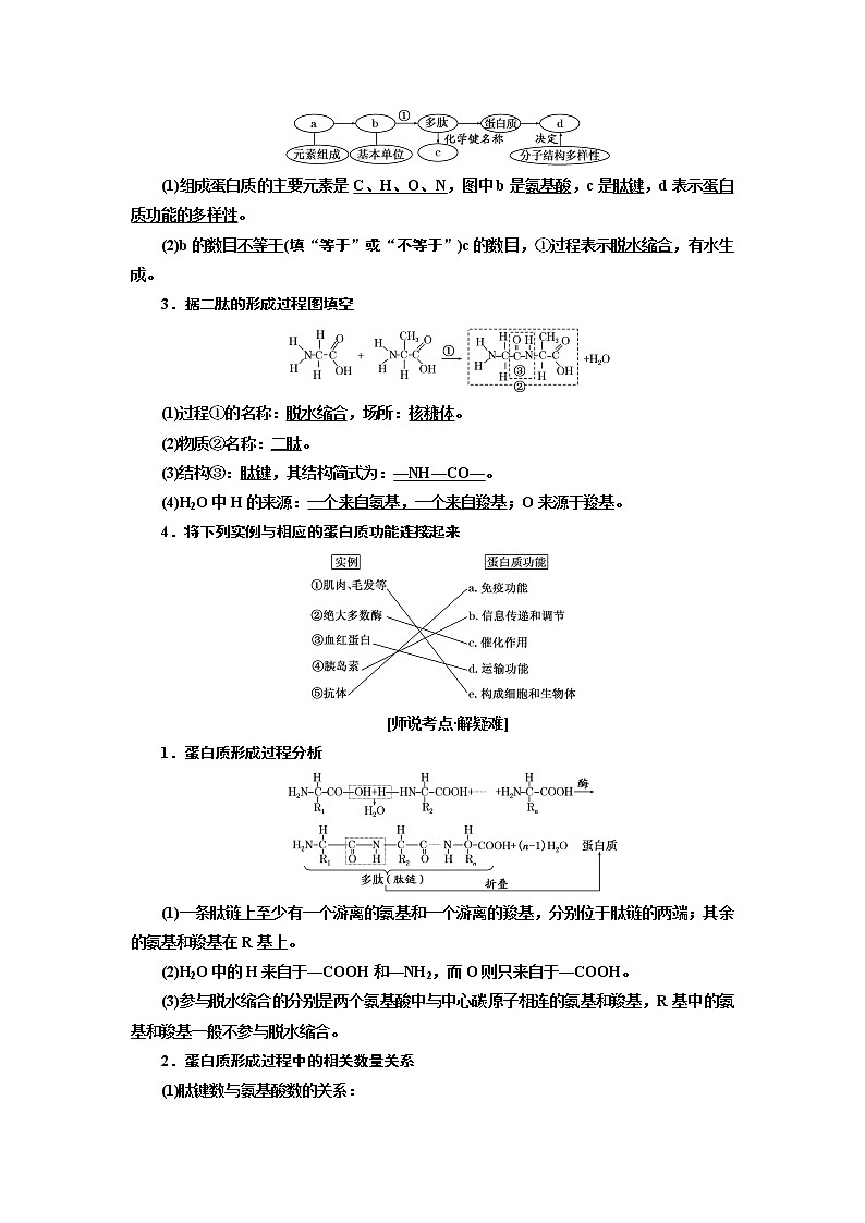 2020版一轮复习生物江苏专版必修1学案：第一单元第3讲　生命活动的主要承担者——蛋白质02