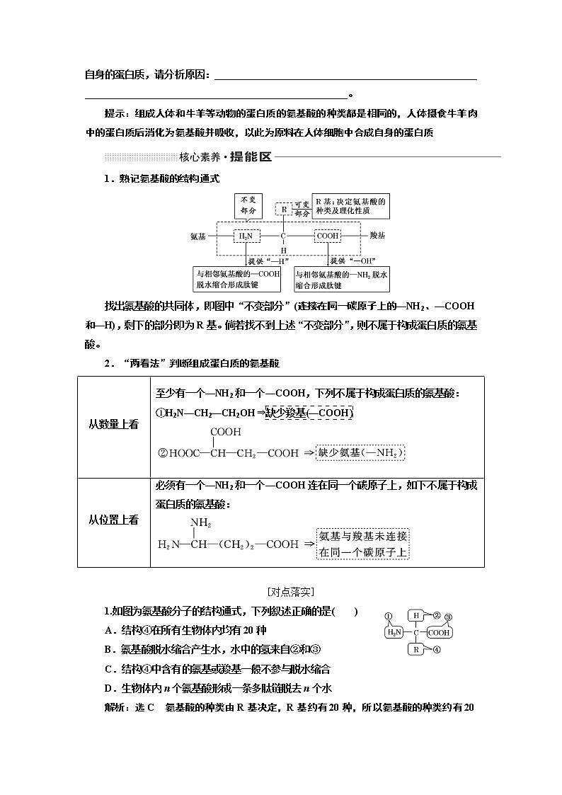 2020版一轮复习生物通用版学案：第一单元第四讲生命活动的主要承担者——蛋白质03