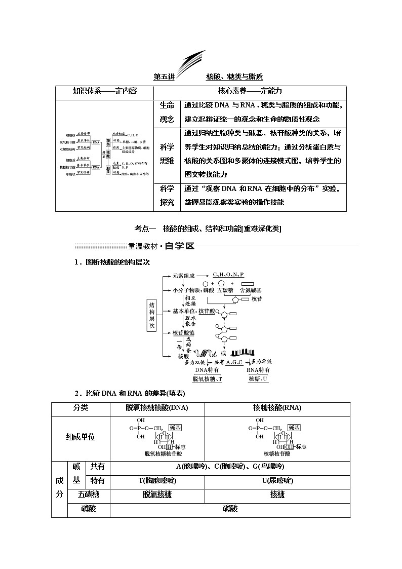 2020版一轮复习生物通用版学案：第一单元第五讲核酸、糖类与脂质01