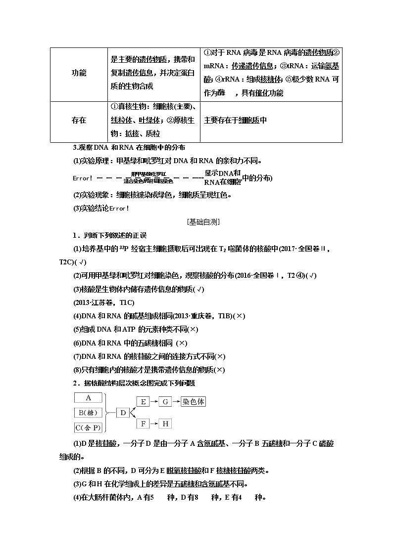 2020版一轮复习生物通用版学案：第一单元第五讲核酸、糖类与脂质02