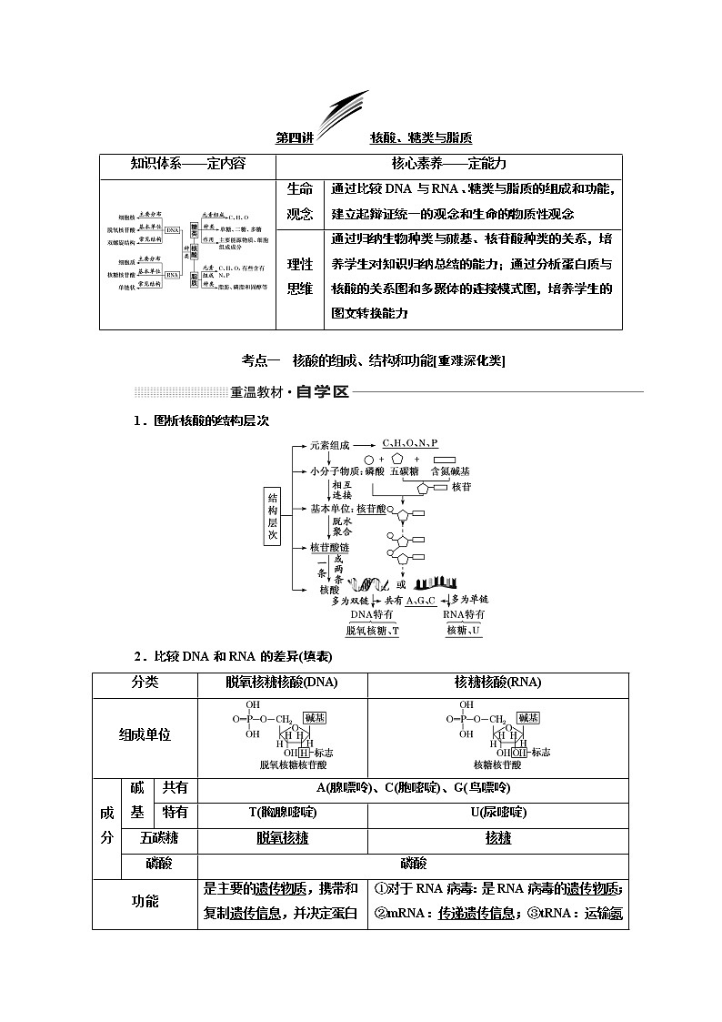 2020版一轮复习生物新课改省份专用学案：第一单元第四讲核酸、糖类与脂质01