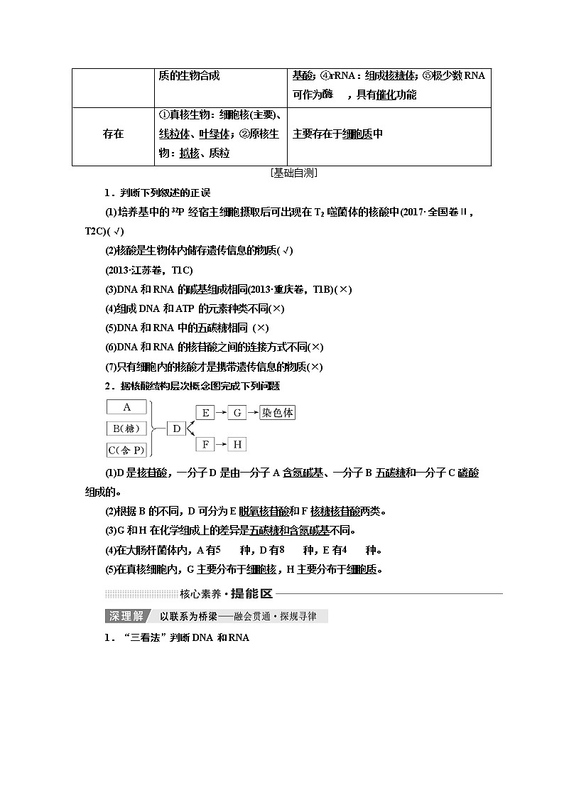 2020版一轮复习生物新课改省份专用学案：第一单元第四讲核酸、糖类与脂质02