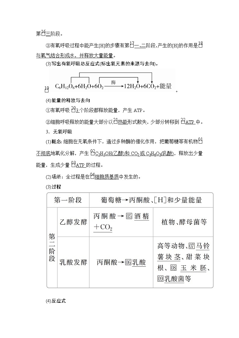 2020年高考生物一轮复习（创新版）文档：必修1第3单元细胞的能量供应和利用第9讲 学案02