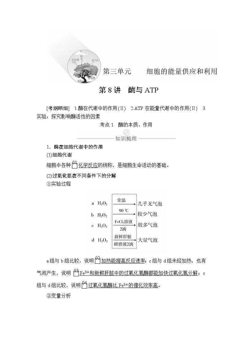 2020年高考生物一轮复习（创新版）文档：必修1第3单元细胞的能量供应和利用第8讲 学案01