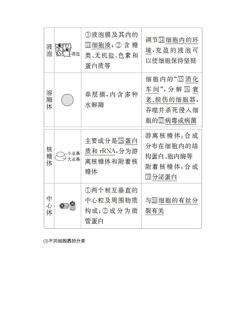2020年高考生物一轮复习（创新版）文档：必修1第2单元细胞的结构和物质的输入输出第6讲 学案03