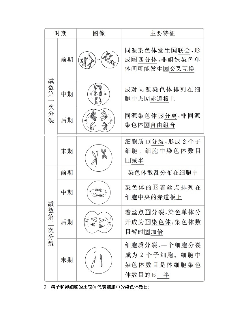 2020年高考生物一轮复习（创新版）文档：必修1第4单元细胞的生命历程第12讲 学案02