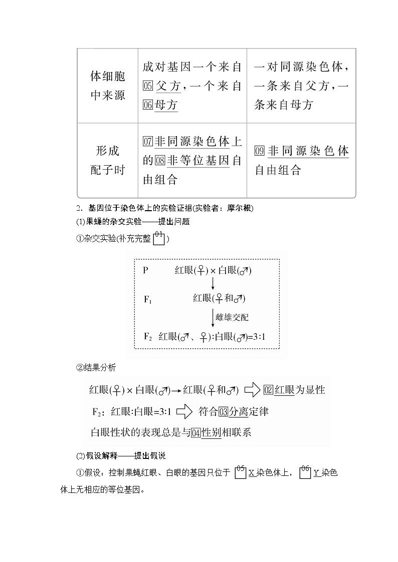2020年高考生物一轮复习（创新版）文档：必修2第5单元遗传的基本规律与伴性遗传第16讲 学案02