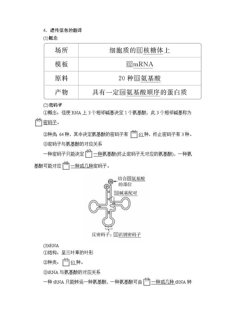 2020年高考生物一轮复习（创新版）文档：必修2第6单元遗传的物质基础第20讲 学案03