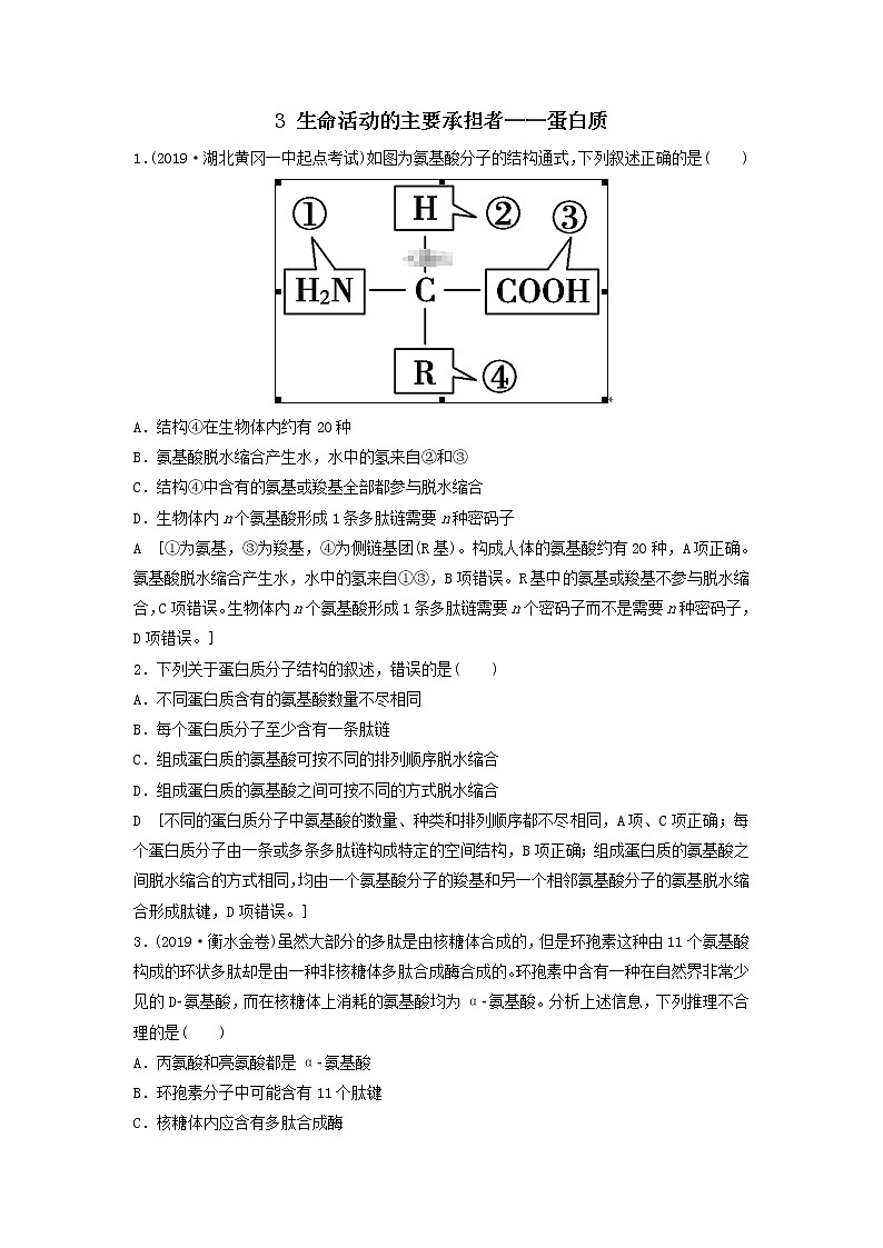 2021届高考生物新人教版一轮复习课后集训：3生命活动的主要承担者——蛋白质 学案01