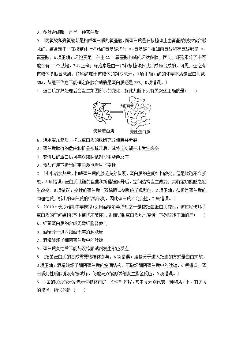 2021届高考生物新人教版一轮复习课后集训：3生命活动的主要承担者——蛋白质 学案02
