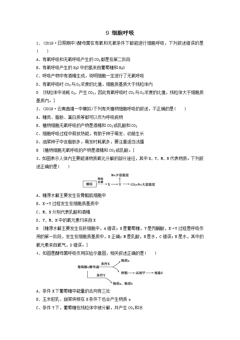 2021届高考生物新人教版一轮复习课后集训：9细胞呼吸 学案01