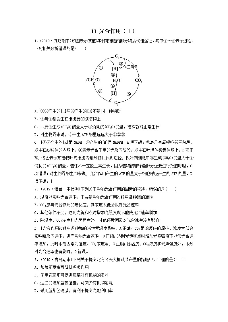 2021届高考生物新人教版一轮复习课后集训：11光合作用（Ⅱ）第1页