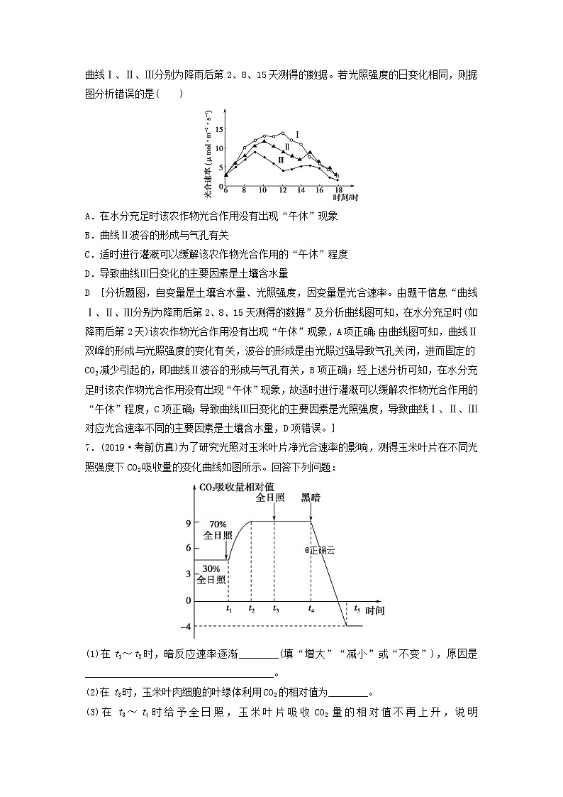 2021届高考生物新人教版一轮复习课后集训：11光合作用（Ⅱ）第3页