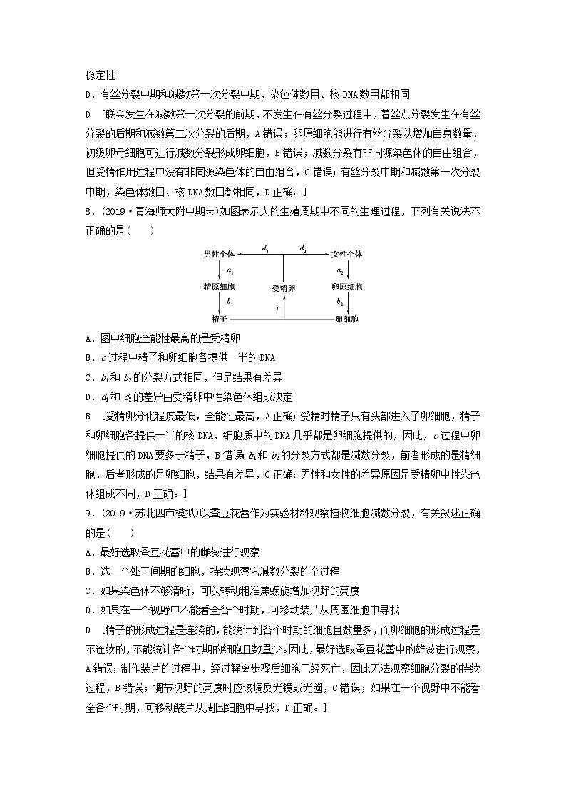 2021届高考生物新人教版一轮复习课后集训：13减数分裂和受精作用 学案03