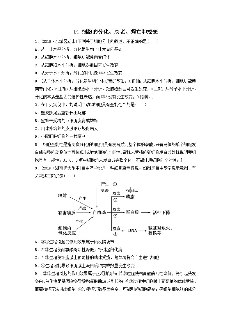 2021届高考生物新人教版一轮复习课后集训：14细胞的分化、衰老、凋亡和癌变 学案01