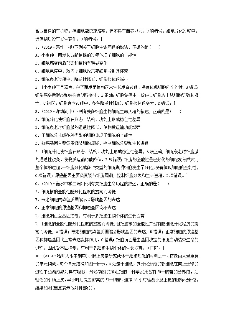 2021届高考生物新人教版一轮复习课后集训：14细胞的分化、衰老、凋亡和癌变 学案03
