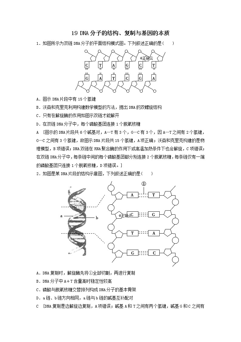 2021届高考生物新人教版一轮复习课后集训：19DNA分子的结构、复制与基因的本质 学案01