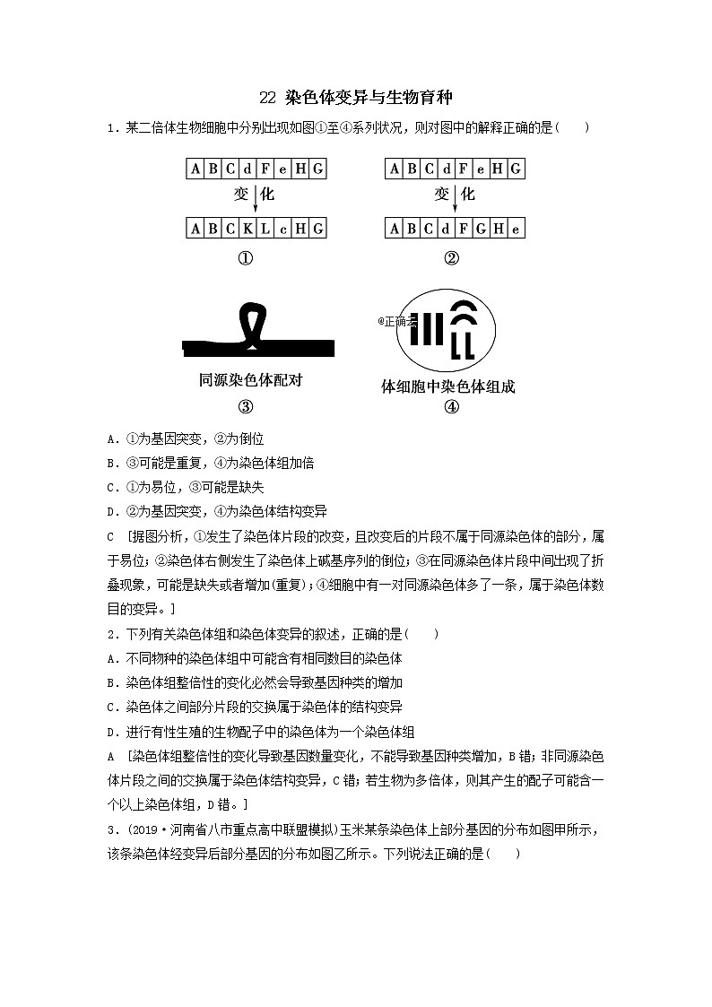 2021届高考生物新人教版一轮复习课后集训：22染色体变异与生物育种第1页