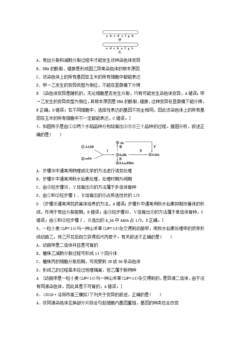 2021届高考生物新人教版一轮复习课后集训：22染色体变异与生物育种第2页