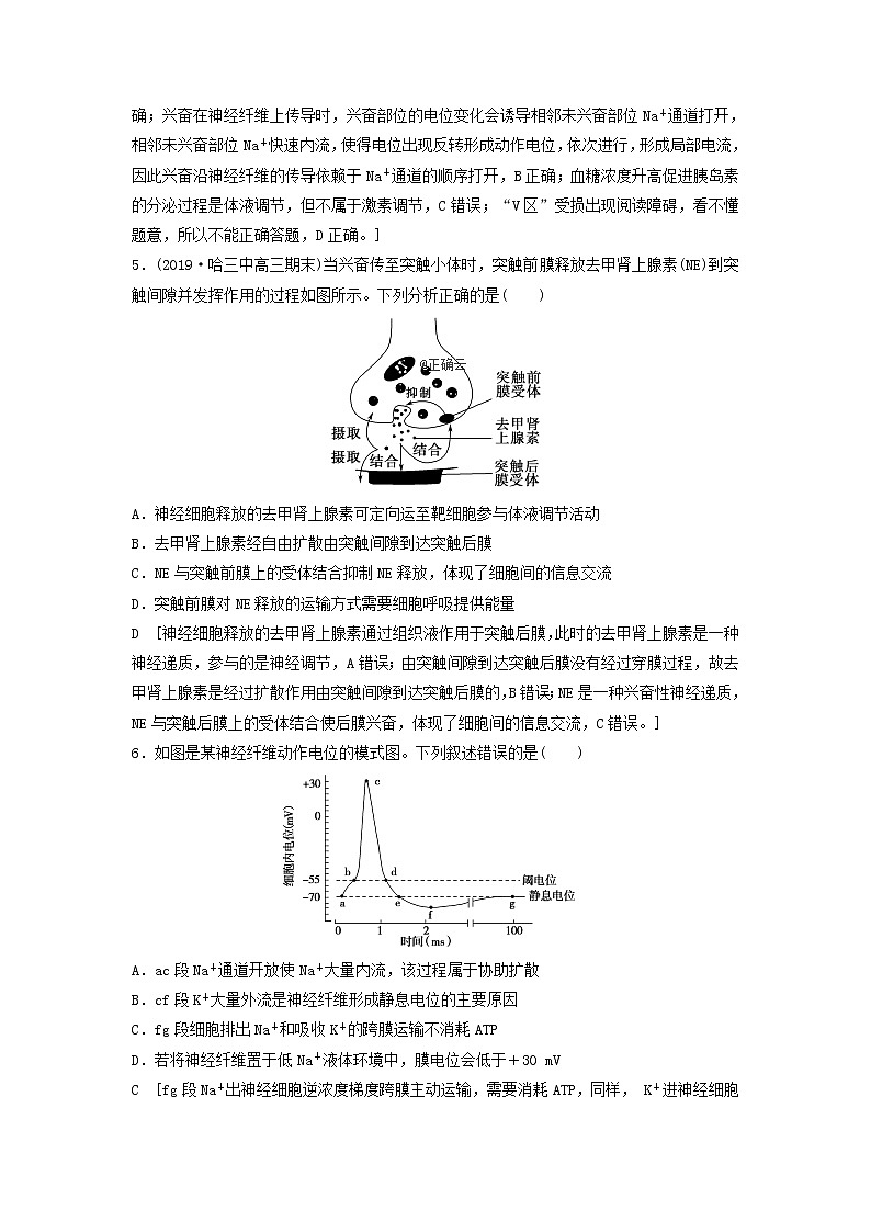 2021届高考生物新人教版一轮复习课后集训：26通过神经系统的调节 学案02