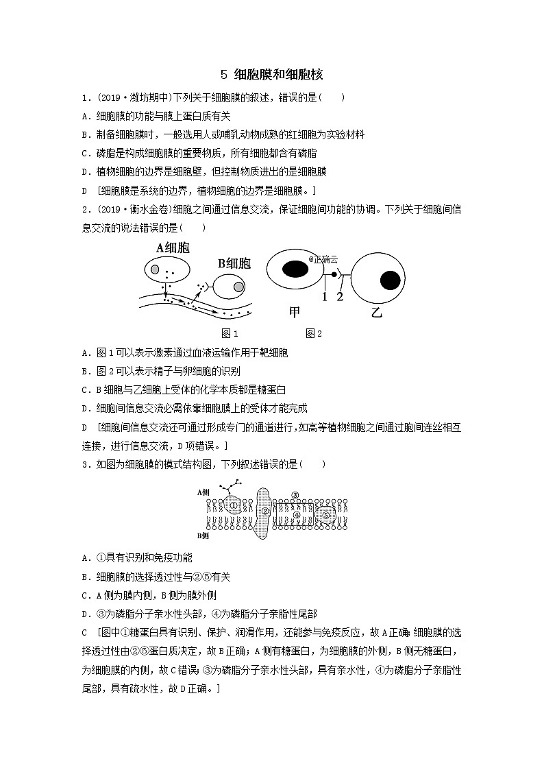 2021届高考生物新人教版一轮复习课后集训：5细胞膜和细胞核第1页