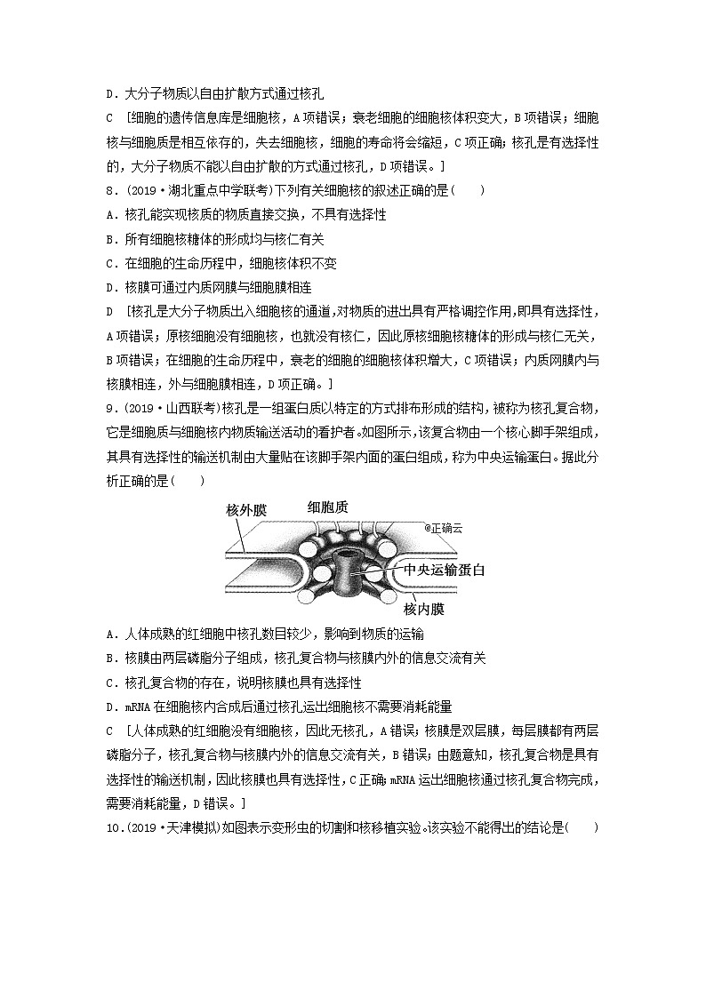 2021届高考生物新人教版一轮复习课后集训：5细胞膜和细胞核第3页