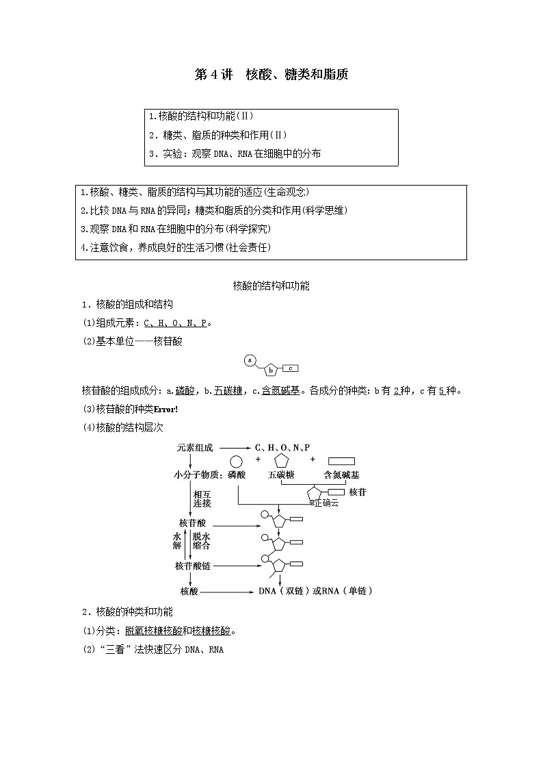 2021届高考生物新人教版一轮复习学案：第1单元细胞及其分子组成第4讲核酸、糖类和脂质第1页