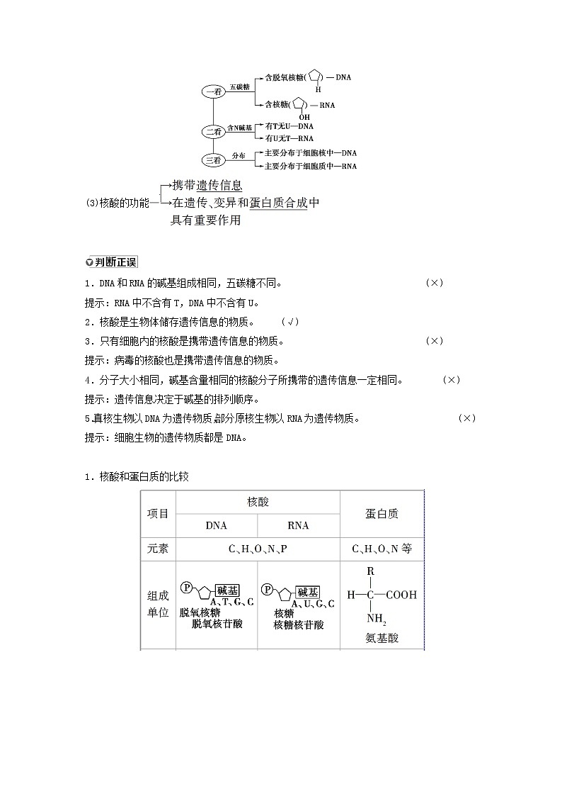 2021届高考生物新人教版一轮复习学案：第1单元细胞及其分子组成第4讲核酸、糖类和脂质第2页