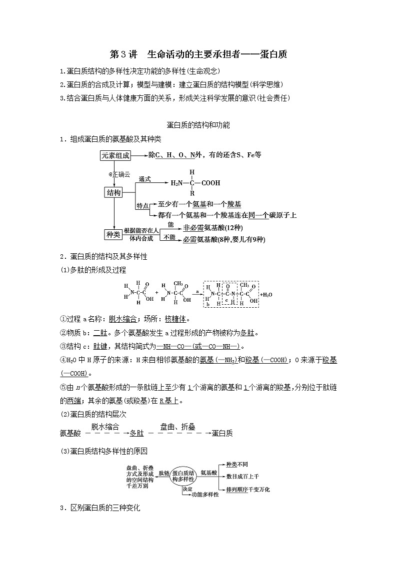 2021届高考生物新人教版一轮复习学案：第1单元细胞及其分子组成第3讲生命活动的主要承担者——蛋白质第1页