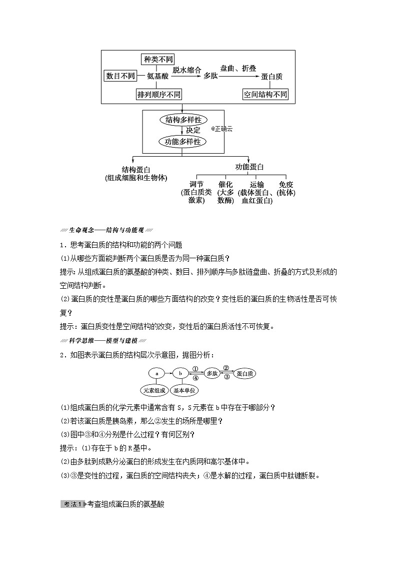 2021届高考生物新人教版一轮复习学案：第1单元细胞及其分子组成第3讲生命活动的主要承担者——蛋白质第3页