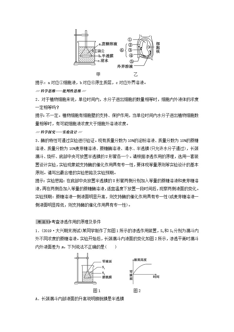 2021届高考生物新人教版一轮复习学案：第2单元细胞的基本结构与其物质的输入和输出第3讲细胞的物质输入与输出03