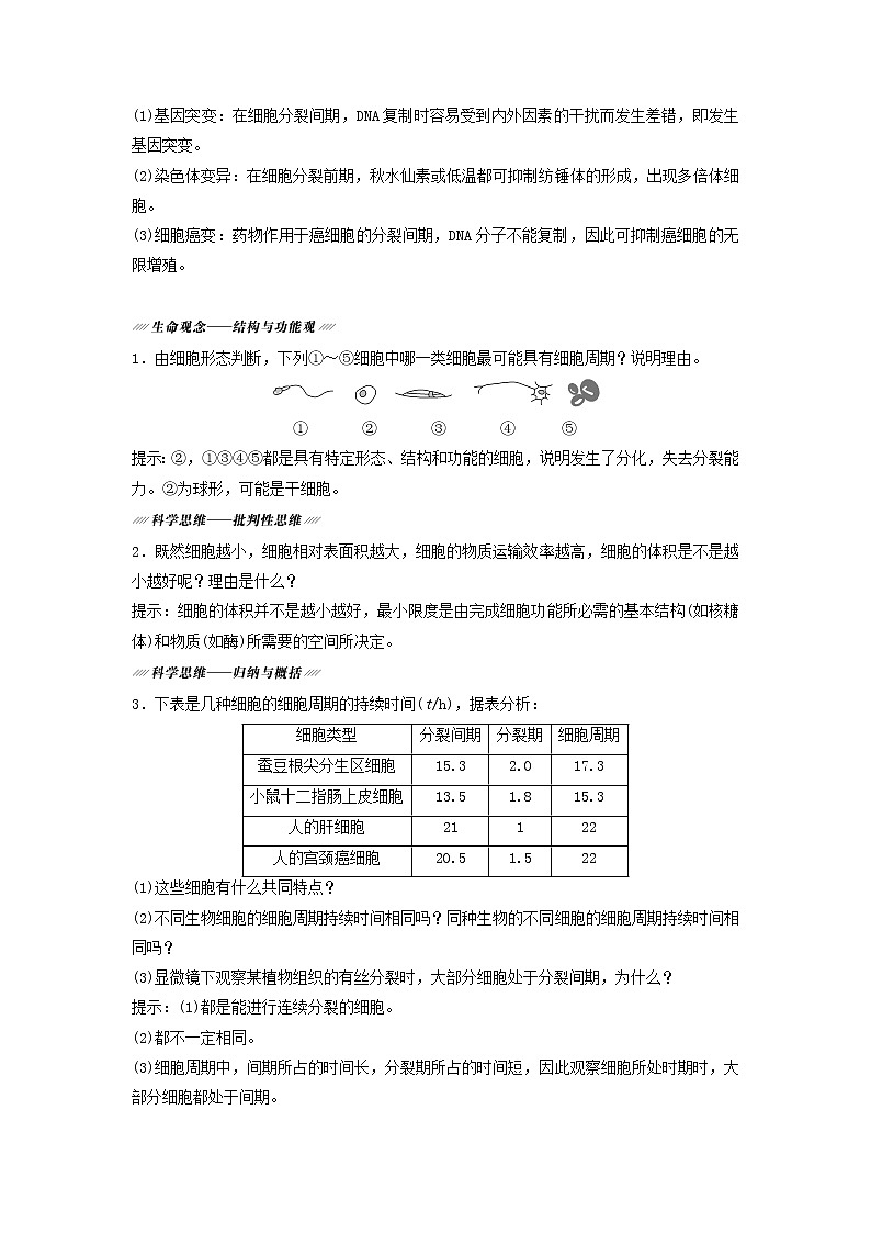 2021届高考生物新人教版一轮复习学案：第4单元细胞的生命历程第1讲细胞的增殖03