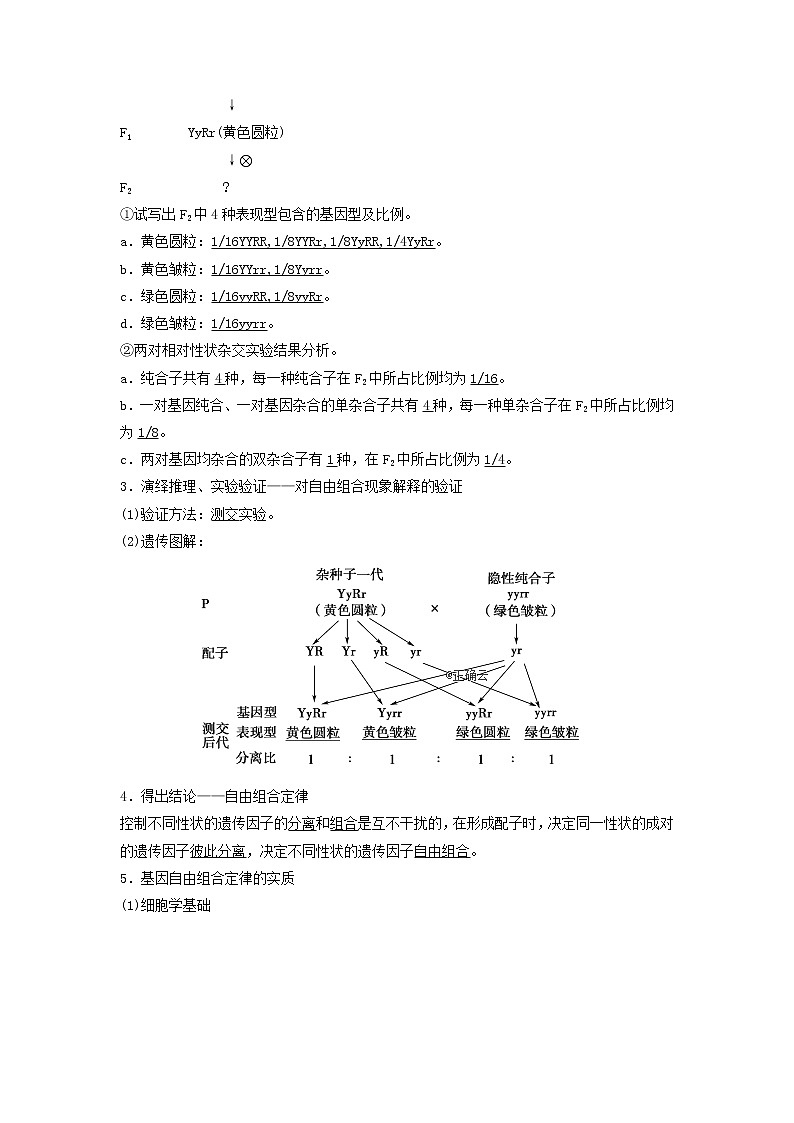 2021届高考生物新人教版一轮复习学案：第5单元遗传定律的伴性遗传第2讲孟德尔的豌豆杂交实验（二）02