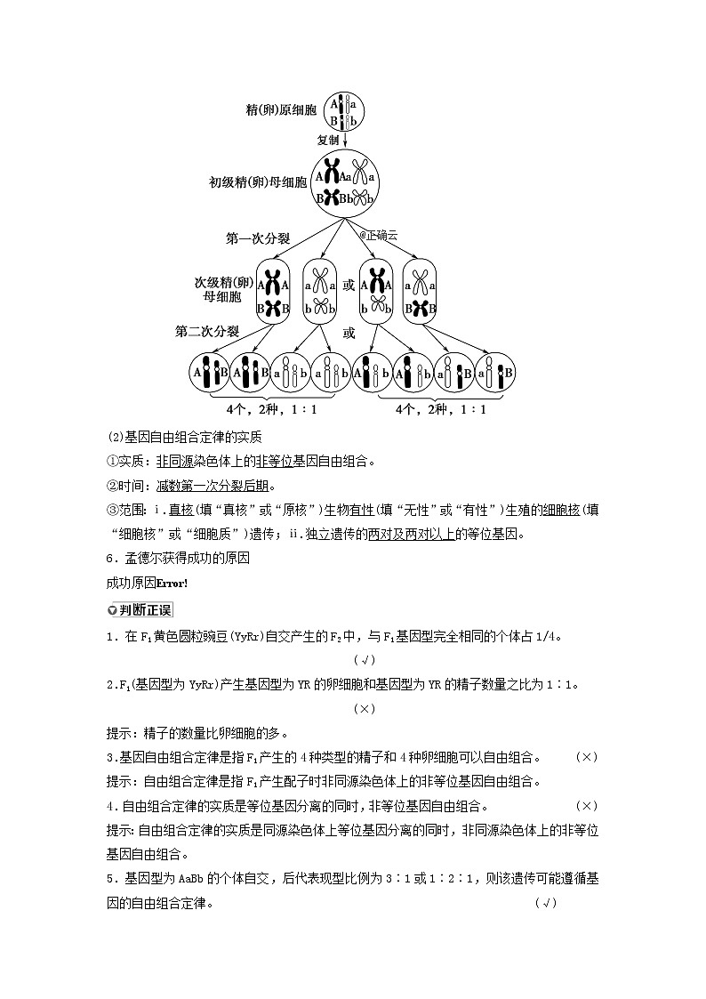 2021届高考生物新人教版一轮复习学案：第5单元遗传定律的伴性遗传第2讲孟德尔的豌豆杂交实验（二）03