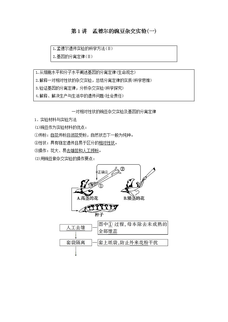 2021届高考生物新人教版一轮复习学案：第5单元遗传定律的伴性遗传第1讲孟德尔的豌豆杂交实验（一）第1页