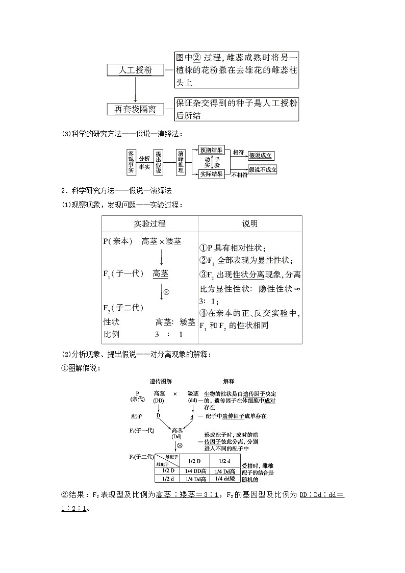 2021届高考生物新人教版一轮复习学案：第5单元遗传定律的伴性遗传第1讲孟德尔的豌豆杂交实验（一）第2页