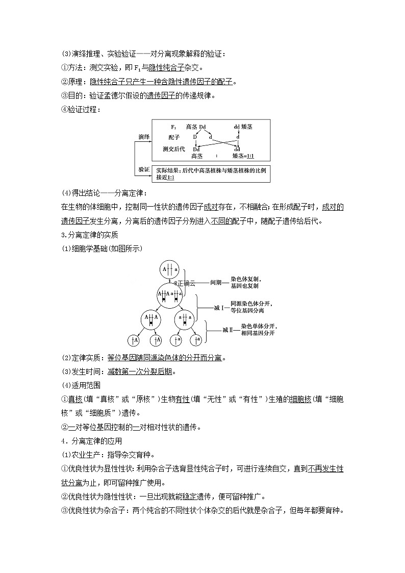 2021届高考生物新人教版一轮复习学案：第5单元遗传定律的伴性遗传第1讲孟德尔的豌豆杂交实验（一）第3页