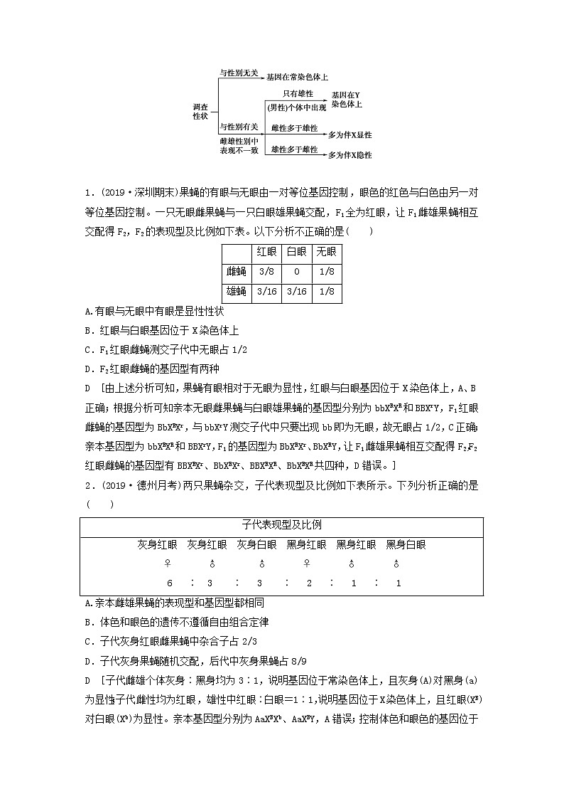 2021届高考生物新人教版一轮复习学案：第5单元遗传定律的伴性遗传素养加强课5基因在染色体上位置的判断与探究02