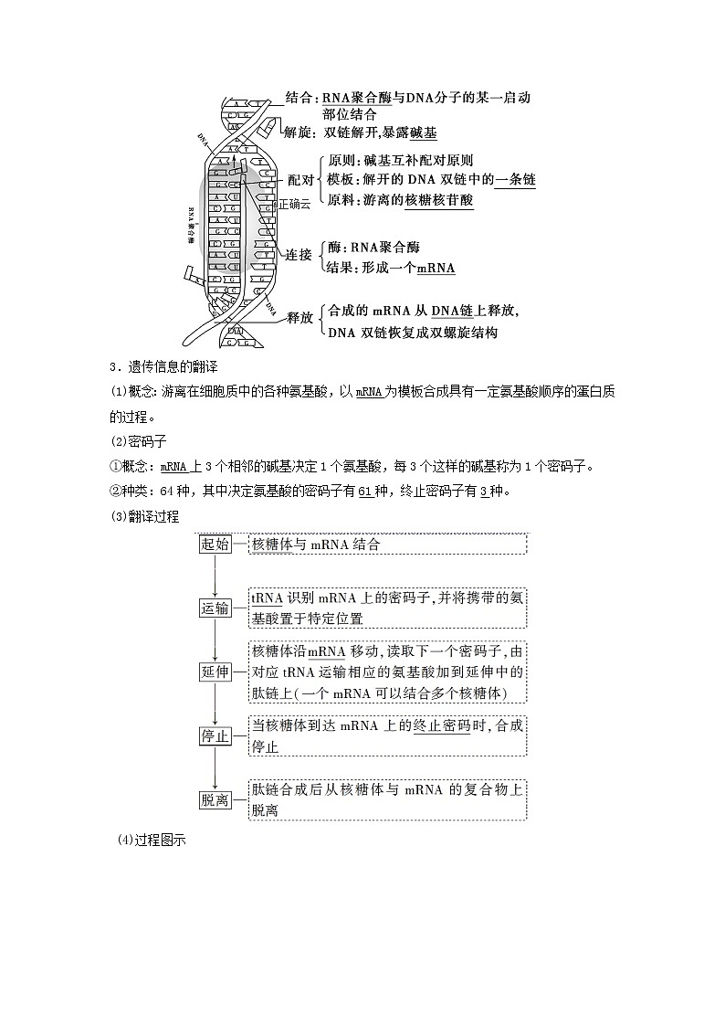 2021届高考生物新人教版一轮复习学案：第6单元遗传的分子基础第3讲基因的表达02