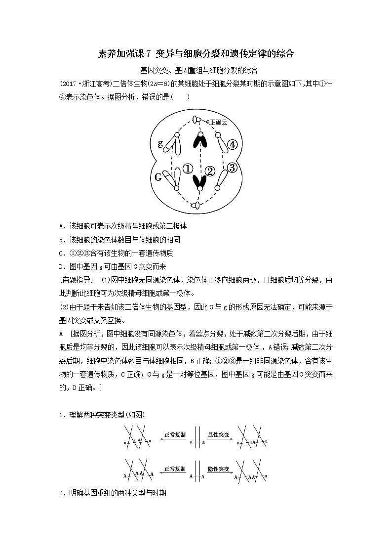 2021届高考生物新人教版一轮复习学案：第7单元生物的变异、育种与进化素养加强课7变异与细胞分裂和遗传定律的综合第1页