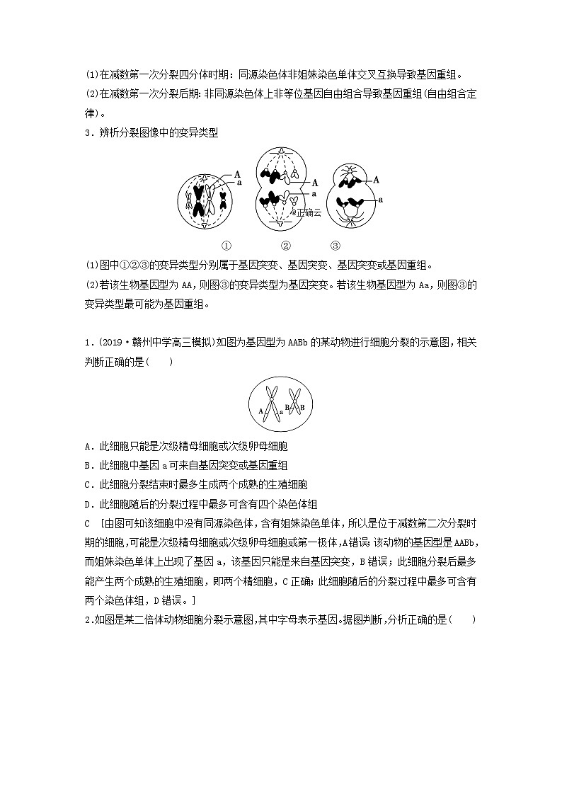 2021届高考生物新人教版一轮复习学案：第7单元生物的变异、育种与进化素养加强课7变异与细胞分裂和遗传定律的综合第2页