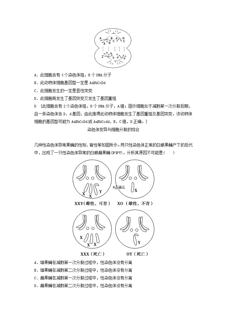 2021届高考生物新人教版一轮复习学案：第7单元生物的变异、育种与进化素养加强课7变异与细胞分裂和遗传定律的综合第3页