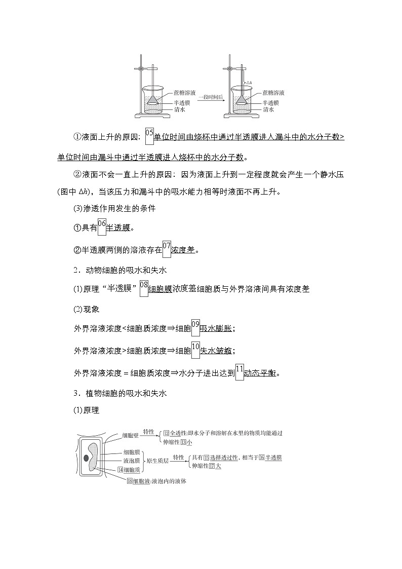 2021高三统考人教生物一轮（经典版）学案：必修1第2单元　第7讲　物质跨膜运输的实例和方式第3页
