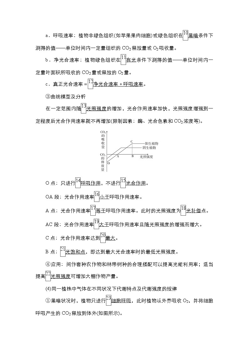 2021高三统考人教生物一轮（经典版）学案：必修1第3单元第11讲　影响光合作用速率的因素及光合作用和细胞呼吸的关系第2页