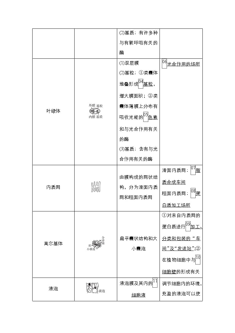 2021高三统考人教生物一轮（经典版）学案：必修1第2单元　第6讲　细胞器与生物膜系统03