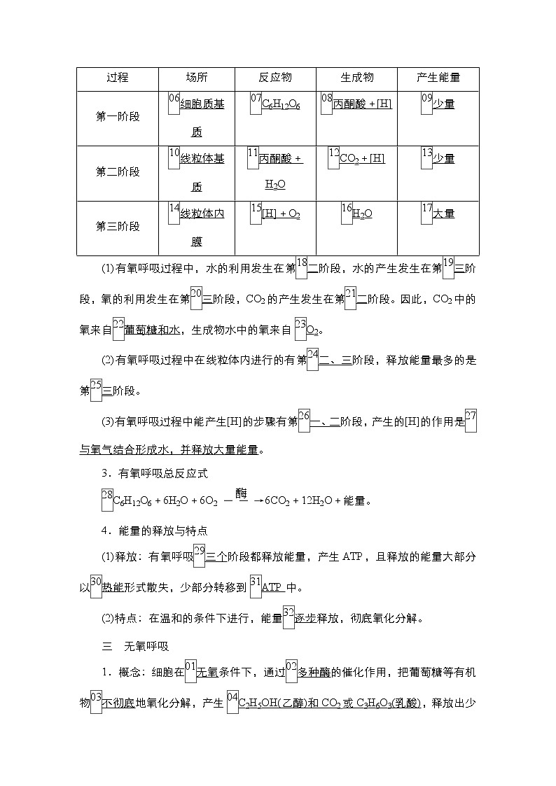 2021高三统考人教生物一轮（经典版）学案：必修1第3单元第9讲　ATP的主要来源——细胞呼吸03