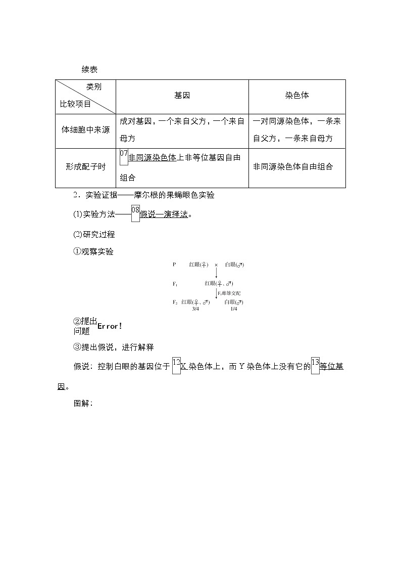 2021高三统考人教生物一轮（经典版）学案：必修2第5单元第17讲　基因在染色体上和伴性遗传第3页